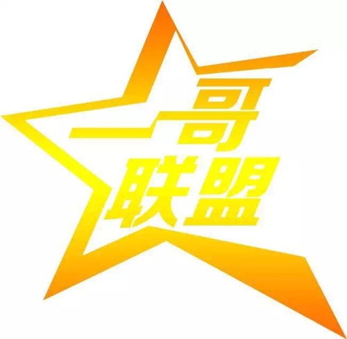 广东一哥联盟投资管理 专业投资咨询服务解析