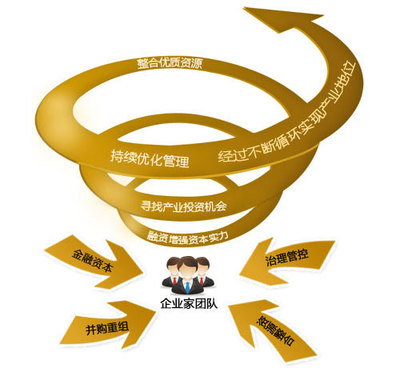 兼并重组与投资管理的协同发展